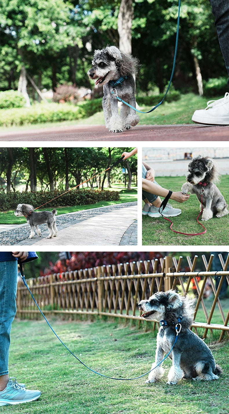 Lightweight Reflective Pet Leash High-Quality Small Adjustable Set Cute Luxury Designer - PeticaDeals