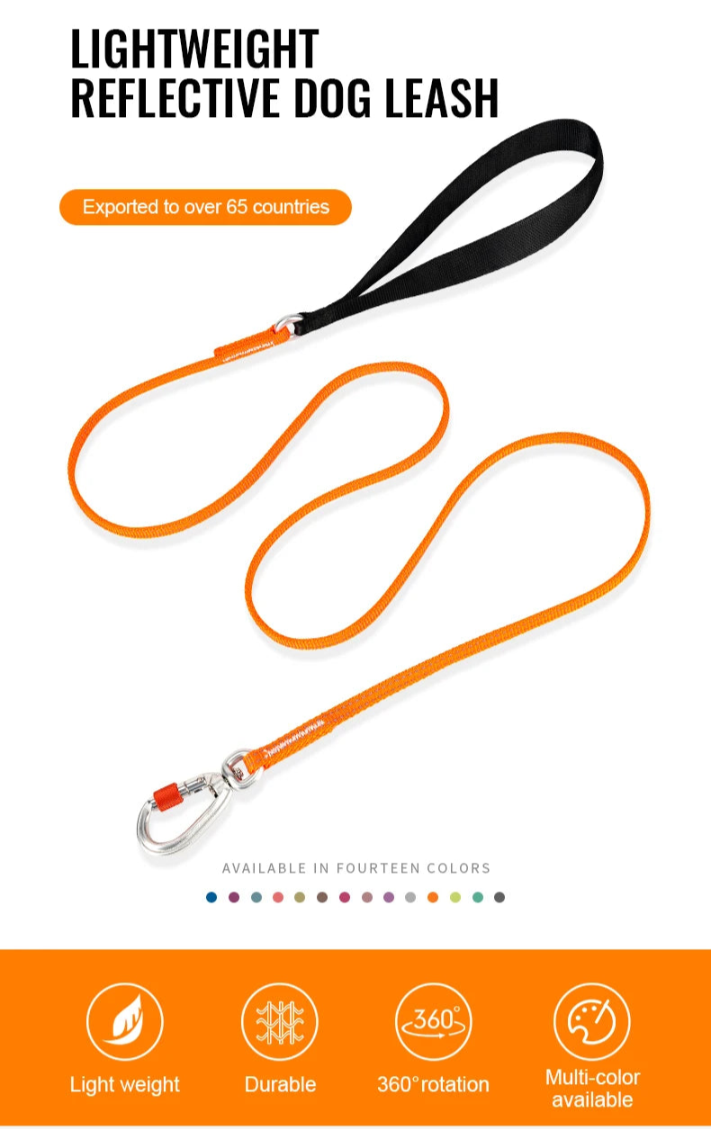 Lightweight Reflective Pet Leash High-Quality Small Adjustable Set Cute Luxury Designer - PeticaDeals