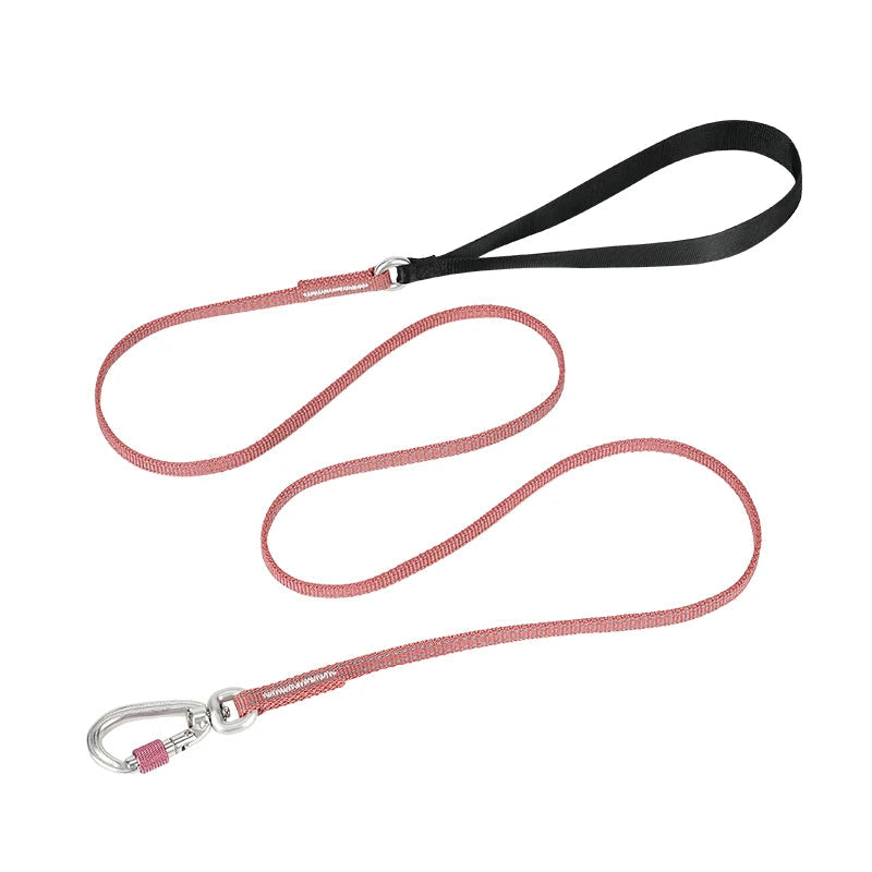Lightweight Reflective Pet Leash High-Quality Small Adjustable Set Cute Luxury Designer - PeticaDeals