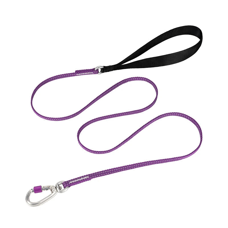 Lightweight Reflective Pet Leash High-Quality Small Adjustable Set Cute Luxury Designer - PeticaDeals