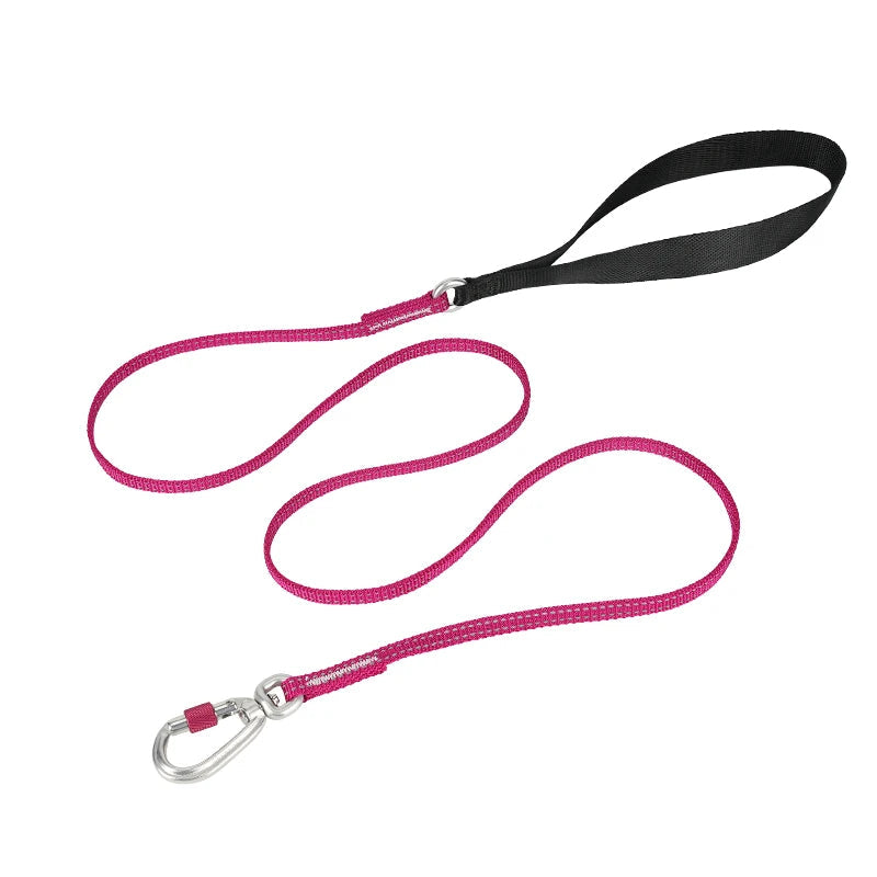 Lightweight Reflective Pet Leash High-Quality Small Adjustable Set Cute Luxury Designer - PeticaDeals