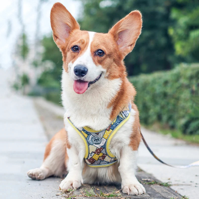 Luminous Adjustable Harness For Dogs - PeticaDeals