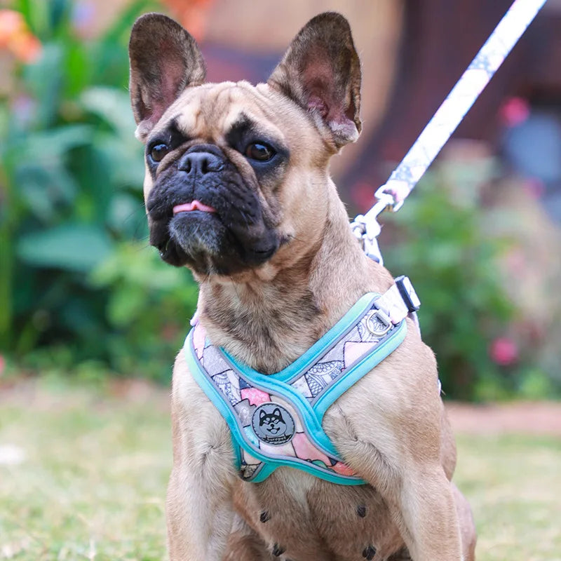 Luminous Adjustable Harness For Dogs - PeticaDeals