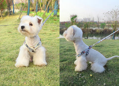 Luminous Adjustable Harness For Dogs - PeticaDeals
