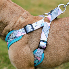 Luminous Adjustable Harness For Dogs - PeticaDeals