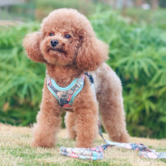 Luminous Adjustable Harness For Dogs - PeticaDeals