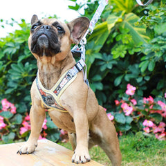 Luminous Adjustable Harness For Dogs - PeticaDeals