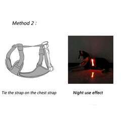 Luminous Led Dog Collar Anti-Lost/Avoid Car Accident Collar - PeticaDeals