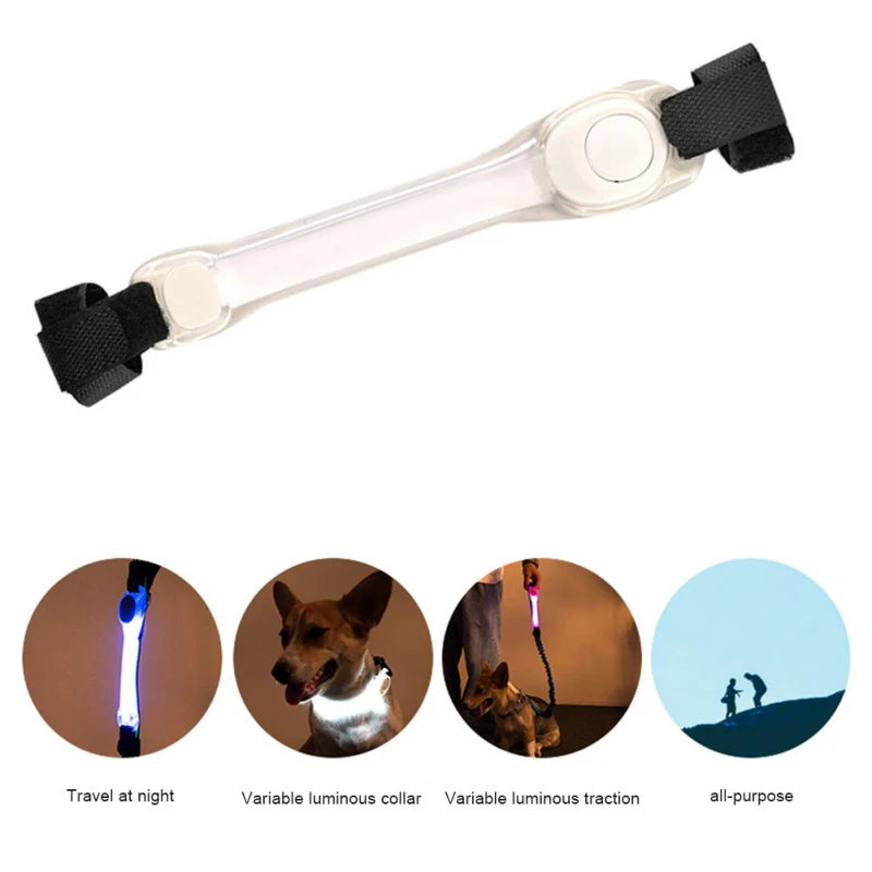 Luminous Led Dog Collar Anti-Lost/Avoid Car Accident Collar - PeticaDeals