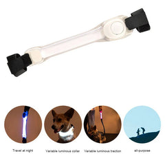 Luminous Led Dog Collar Anti-Lost/Avoid Car Accident Collar - PeticaDeals