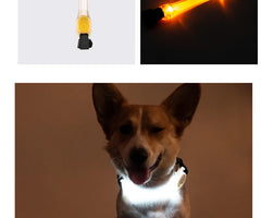 Luminous Led Dog Collar Anti-Lost/Avoid Car Accident Collar - PeticaDeals