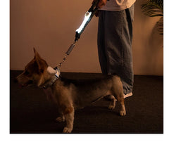 Luminous Led Dog Collar Anti-Lost/Avoid Car Accident Collar - PeticaDeals