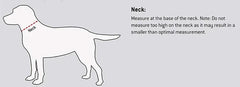 Luxury Gold Dog Chain - PeticaDeals