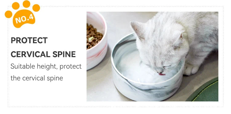 Marbling Cat Ceramics Bowl with Wood Stand - PeticaDeals