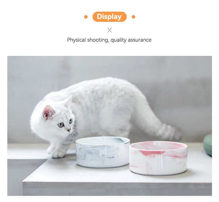 Marbling Cat Ceramics Bowl with Wood Stand - PeticaDeals