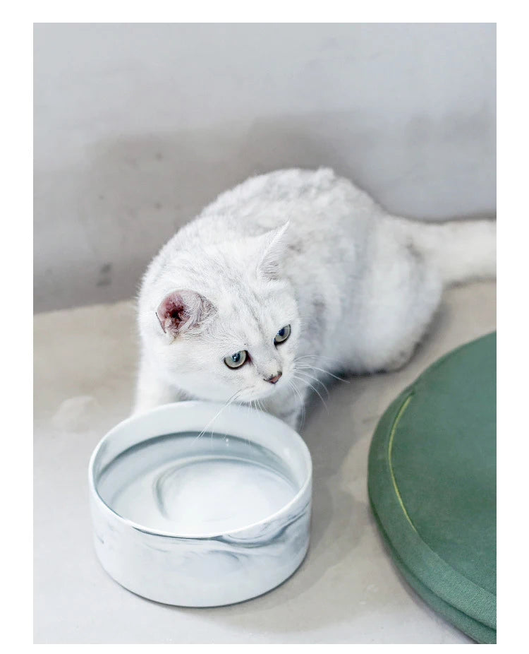 Marbling Cat Ceramics Bowl with Wood Stand - PeticaDeals