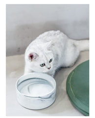 Marbling Cat Ceramics Bowl with Wood Stand - PeticaDeals