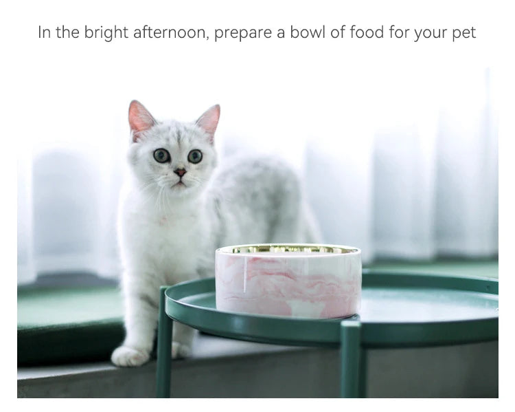 Marbling Cat Ceramics Bowl with Wood Stand - PeticaDeals
