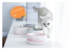 Marbling Cat Ceramics Bowl with Wood Stand - PeticaDeals
