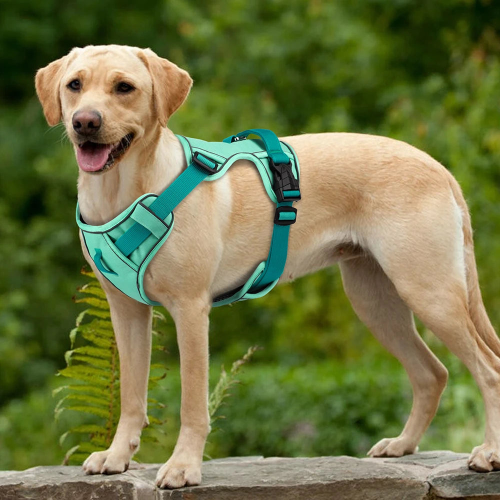 Mesh Breathable  Nylon Reflective Pet Training Vest Adjustable - PeticaDeals