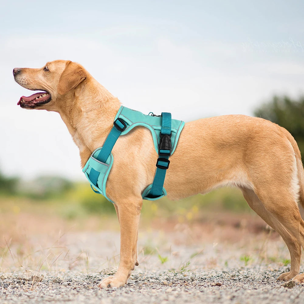Mesh Breathable  Nylon Reflective Pet Training Vest Adjustable - PeticaDeals
