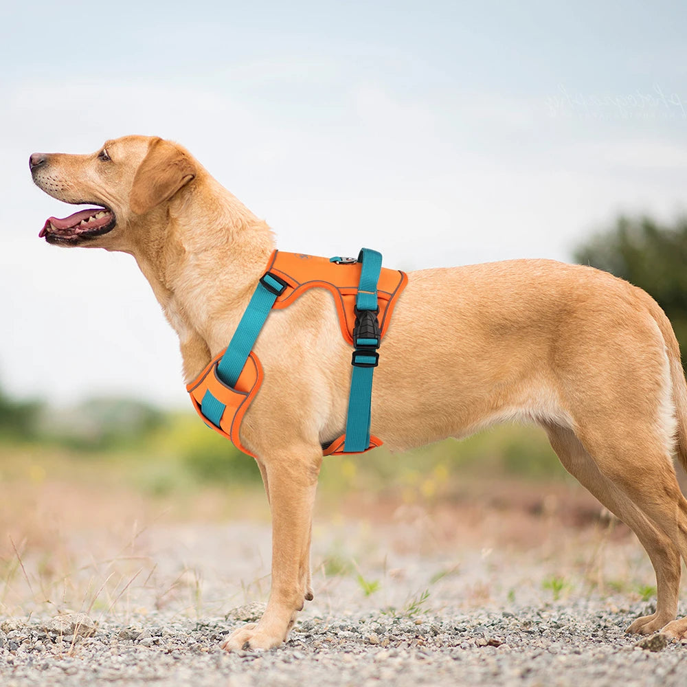 Mesh Breathable  Nylon Reflective Pet Training Vest Adjustable - PeticaDeals