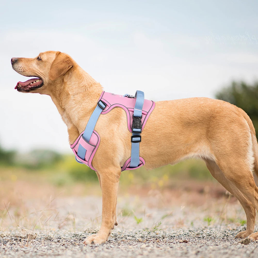 Mesh Breathable  Nylon Reflective Pet Training Vest Adjustable - PeticaDeals