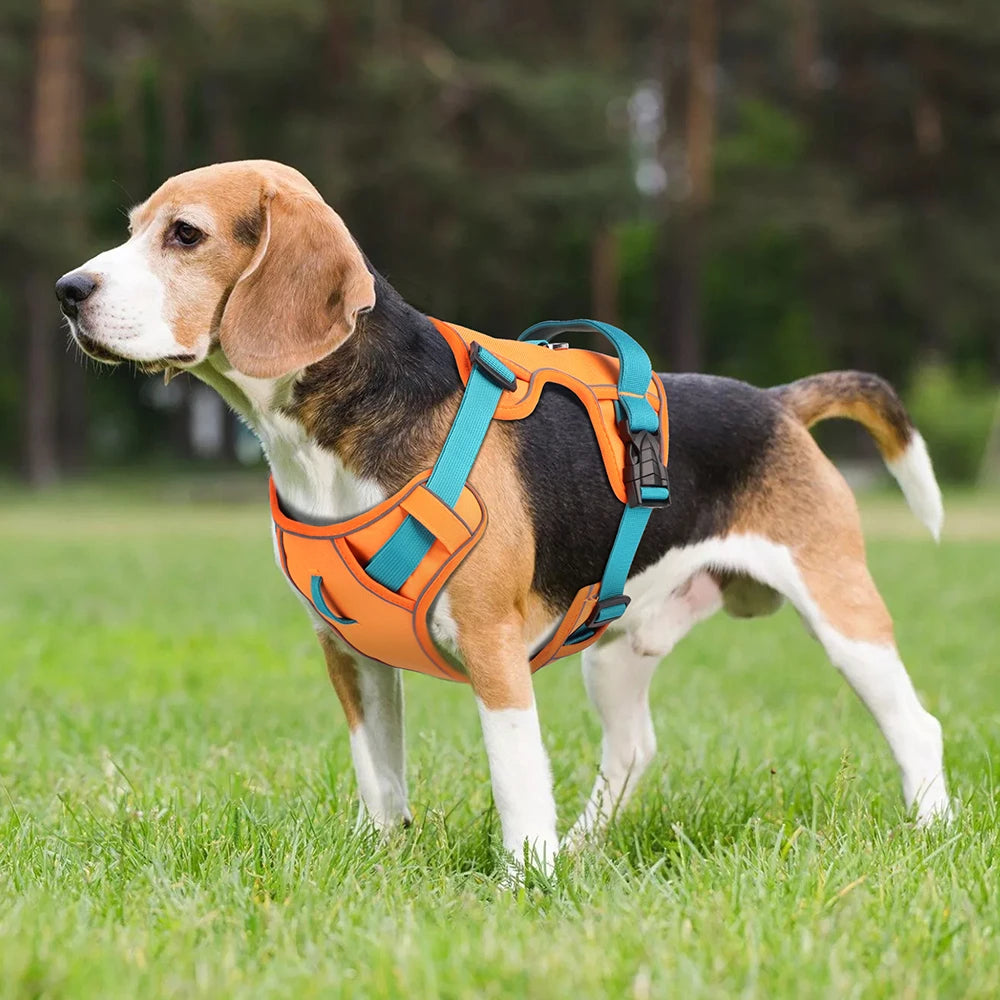 Mesh Breathable  Nylon Reflective Pet Training Vest Adjustable - PeticaDeals