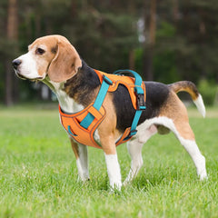 Mesh Breathable  Nylon Reflective Pet Training Vest Adjustable - PeticaDeals