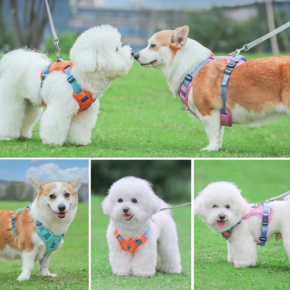 Mesh Breathable  Nylon Reflective Pet Training Vest Adjustable - PeticaDeals