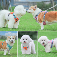 Mesh Breathable  Nylon Reflective Pet Training Vest Adjustable - PeticaDeals