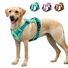 Mesh Breathable  Nylon Reflective Pet Training Vest Adjustable - PeticaDeals