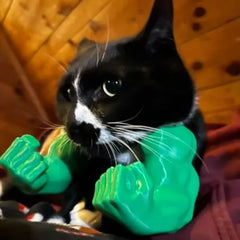 Muscle arms 3D Printed  Original Cat Toys Arms for Cat - PeticaDeals