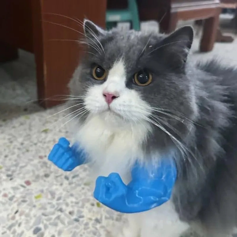 Muscle arms 3D Printed  Original Cat Toys Arms for Cat - PeticaDeals
