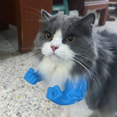 Muscle arms 3D Printed  Original Cat Toys Arms for Cat - PeticaDeals