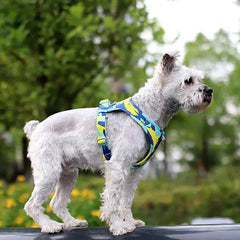 New Dog Cat Harness Adjustable Vest Walking Lead Leash For Puppy Dogs - PeticaDeals