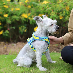 New Dog Cat Harness Adjustable Vest Walking Lead Leash For Puppy Dogs - PeticaDeals