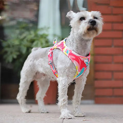 New Dog Cat Harness Adjustable Vest Walking Lead Leash For Puppy Dogs - PeticaDeals