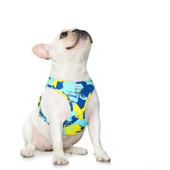 New Dog Cat Harness Adjustable Vest Walking Lead Leash For Puppy Dogs - PeticaDeals