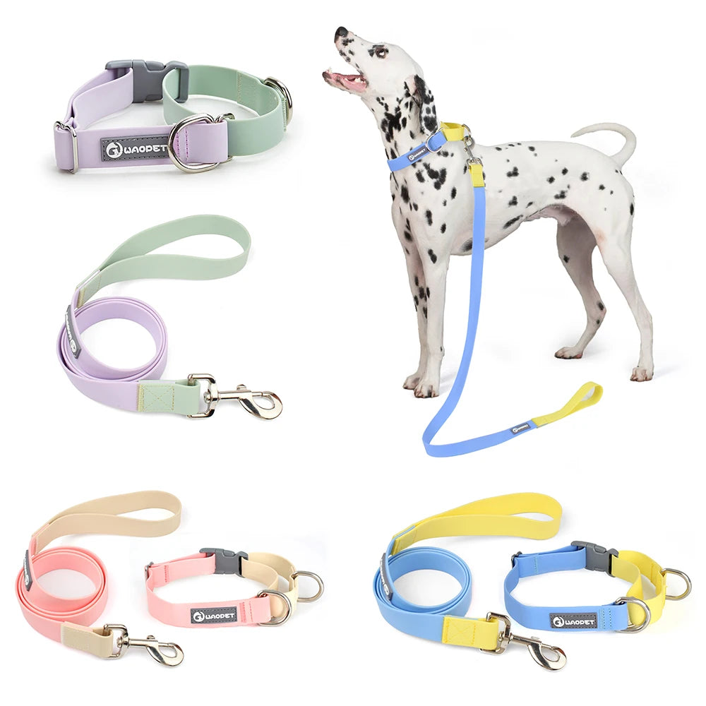 New Dog Leash And Collar Set Adjustable NO PULL PVC Anti-Water Easy Clean Dog Collars - PeticaDeals