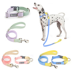 New Dog Leash And Collar Set Adjustable NO PULL PVC Anti-Water Easy Clean Dog Collars - PeticaDeals