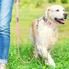 New Dog Leash And Collar Set Adjustable NO PULL PVC Anti-Water Easy Clean Dog Collars - PeticaDeals
