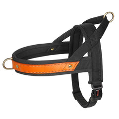 No Pull Padded Nylon and PU Leather Pet Dog Collar Harness Leash Set - PeticaDeals