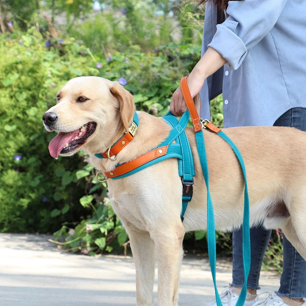 No Pull Padded Nylon and PU Leather Pet Dog Collar Harness Leash Set - PeticaDeals
