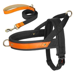 No Pull Padded Nylon and PU Leather Pet Dog Collar Harness Leash Set - PeticaDeals