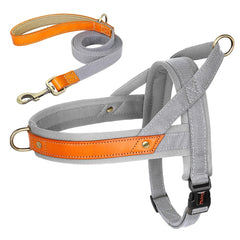 No Pull Padded Nylon and PU Leather Pet Dog Collar Harness Leash Set - PeticaDeals