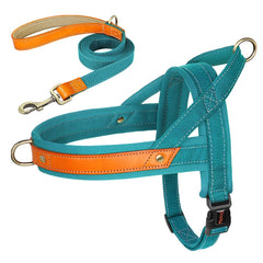 No Pull Padded Nylon and PU Leather Pet Dog Collar Harness Leash Set - PeticaDeals