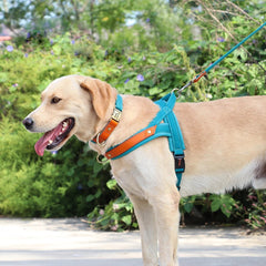 No Pull Padded Nylon and PU Leather Pet Dog Collar Harness Leash Set - PeticaDeals