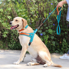 No Pull Padded Nylon and PU Leather Pet Dog Collar Harness Leash Set - PeticaDeals