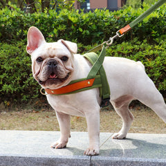 No Pull Padded Nylon and PU Leather Pet Dog Harness - PeticaDeals